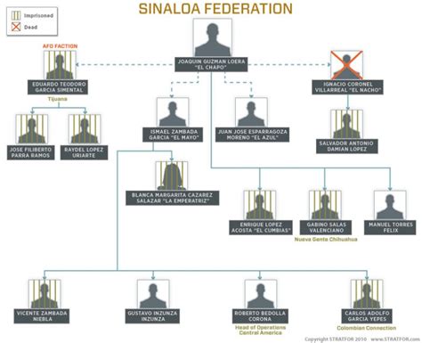 The Hierarchy of Mexico's Sinaloa Federation Cartel