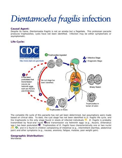 Causal Agent: Life Cycle: Geographic Distribution: