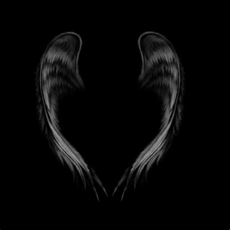 Black Angel Wings Wallpaper