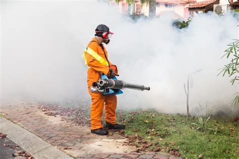 How To Prevent Aedes Mosquitoes - Plumbingservices.com.sg