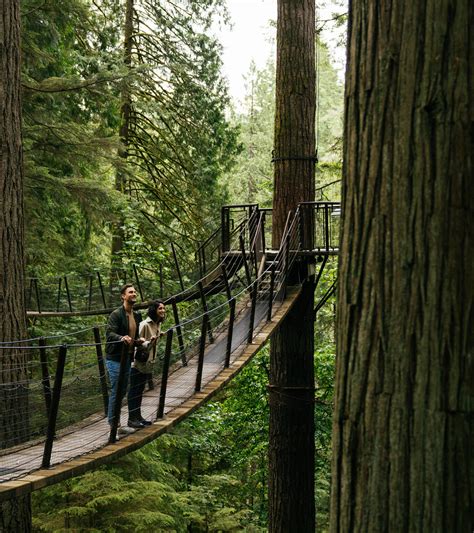 Treetops Adventure | Capilano Suspension Bridge Park