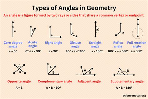 Types Of Angles Gcse Math Learning Math Geometry Work - vrogue.co