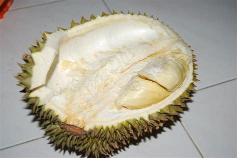 Makan durian