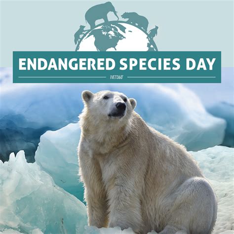 Endangered Species Day | Pet holiday, Endangered species, Endangered