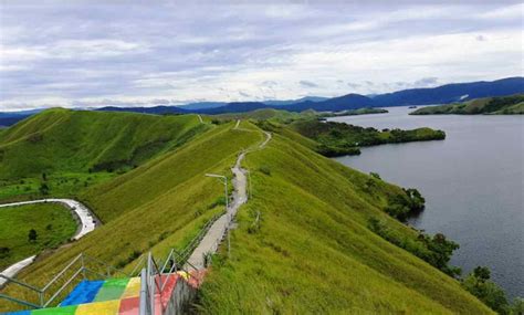 Objek Wisata Bukit Teletubbies Jayapura Papua