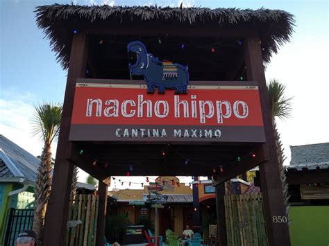 Nacho Hippo - Mexican - North Myrtle Beach, SC - Reviews - Photos - Yelp