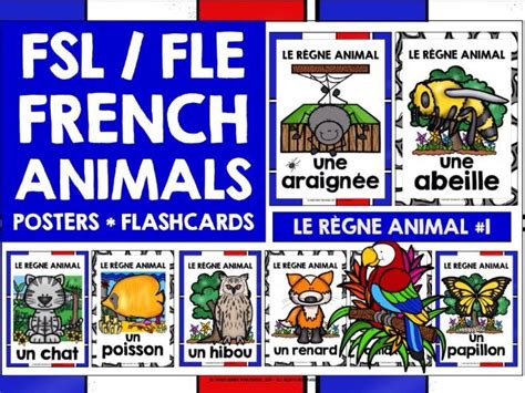 FRENCH ANIMALS FLASHCARDS POSTERS #1 | Teaching Resources