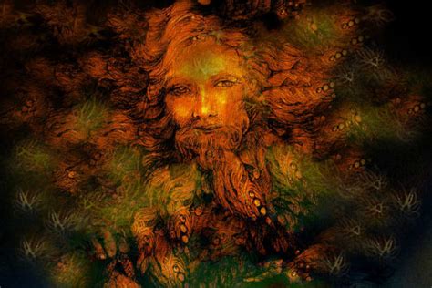 Druidism: Modern Druidry Guide | Terravara