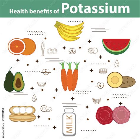 Health benefits of Potassium Stock Vector | Adobe Stock