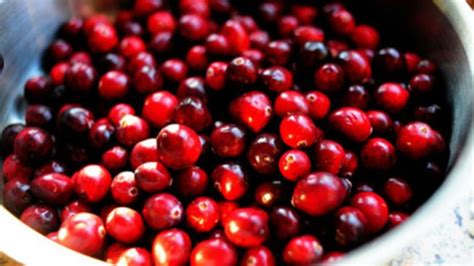 Wisconsin cranberry growers could face production limits