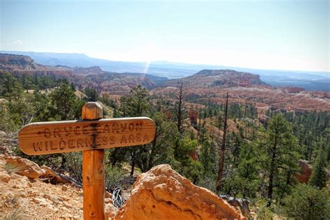 Bryce Canyon National Park + Camping – We Be Trippin!