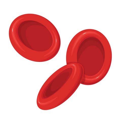 Red Blood Cells Clipart