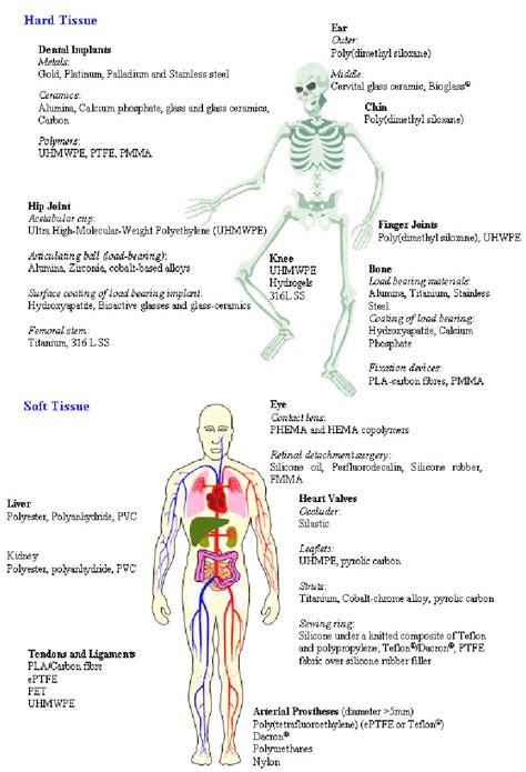 Some examples of the use of implantable biomaterials in medicine and... | Download Scientific ...