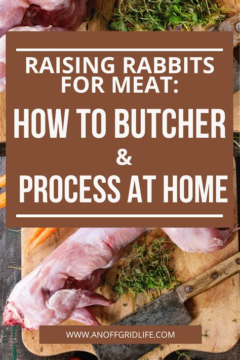 Raising Rabbits For Meat #2: Processing & Butchering | Raising rabbits, Raising rabbits for meat ...