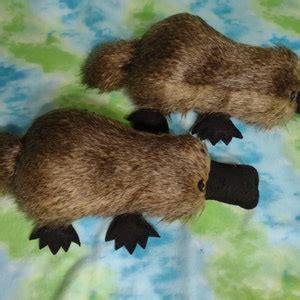 Platypus for Adoption Soft and Plush, Ready to Cuddle - Etsy