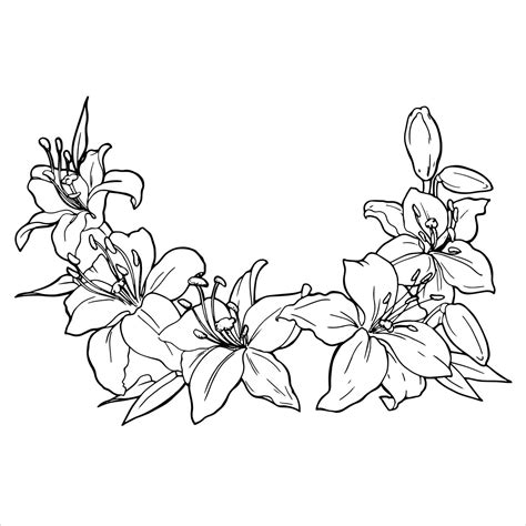 Vector graphics. Linear freehand drawing of a frame of lilies. From the collection HAIR ...