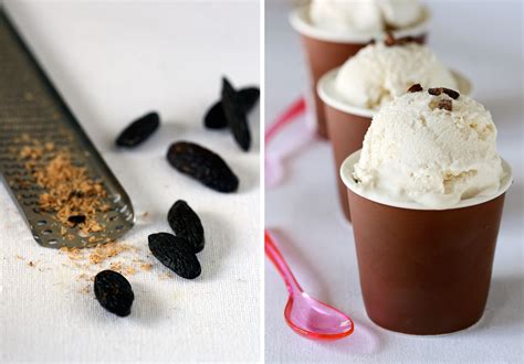 A Twist on the Familiar: Tonka Bean and Cocoa Nib Ice Cream - Dessert First