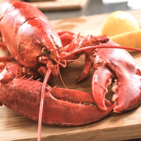 Cooked Lobster Recipes Easy to Make at Home | Supplier Fresh Water ...