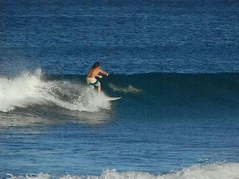 Surfs up! Shark shares wave with surfer | WPEC