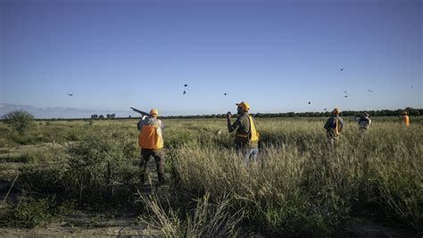 Quail Hunts - El Dorado Outfitters