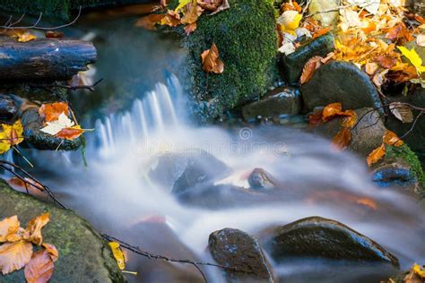 Runnig Mountain Brook in Autumn Forest Stock Image - Image of outdoor ...