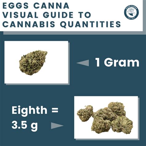 Visual Guide to Cannabis Quantities | Eggs Canna