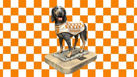 Smokey - University of Tennessee mascot - 3D model by netflugur ...