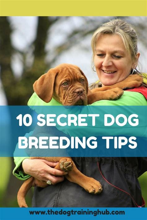 10 secret dog breeding tips #dogbreeding #dogtrainingtips | Dog breeds, Dog breeding business ...