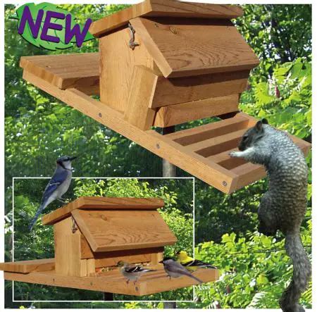 Homemade Squirrel Proof Bird Feeder Plans | FeedingNature.com