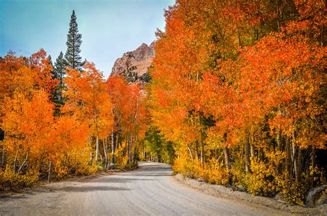 Bishop bursting with fall colors -- a peek of them at their peak - Los Angeles Times