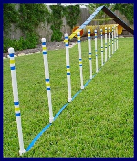 Dog Agility Weave Poles 12 Stick in the Ground Weaves. - Etsy