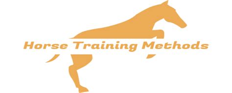 What are the dangers of horse training? - Horse Training Methods