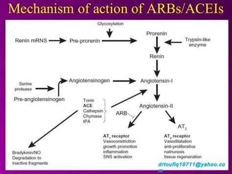 Role of ARBs in management of Hypertension