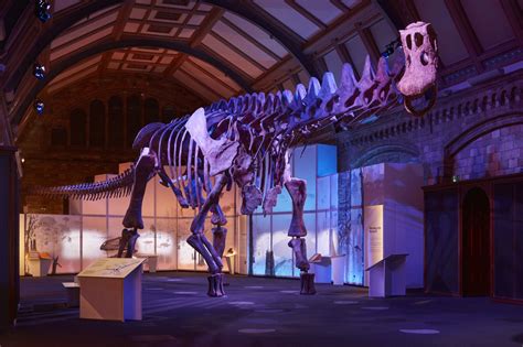 Titanosaur Stomps Into Natural History Museum | Londonist