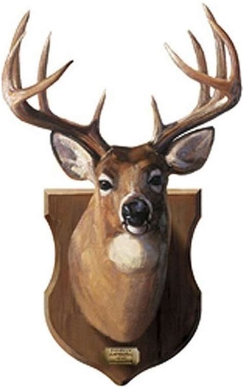 Deer Head Mount | G0496SA | Gifts for Guys | Wall Murals