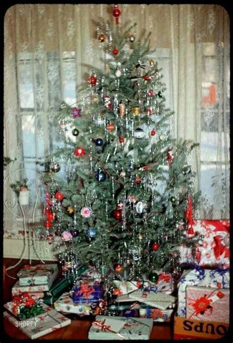 1950's tree | Vintage christmas tree, Vintage christmas photos, Vintage ...