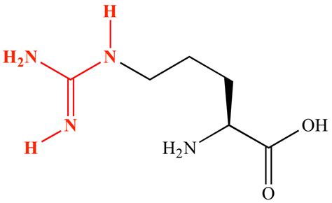 Illustrated Glossary of Organic Chemistry - Guanidine