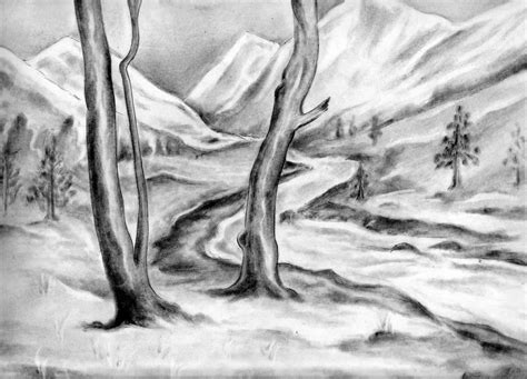 Nature Sketch Pencil: A Journey into Artistic Realism