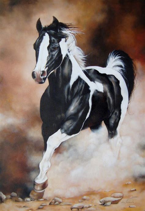 17 Best images about Horse Art on Pinterest | White horses, Equine art and Western art