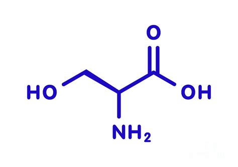 Serine Amino Acid Molecule Photograph by Molekuul/science Photo Library ...