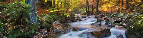 Welcome | Harz National Park | Nationalpark Harz