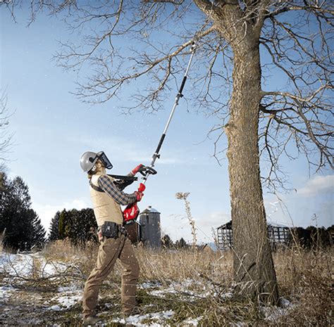 Milwaukee Pole Saw Review and Guide: Is It A Good Investment? - The Forestry Pros