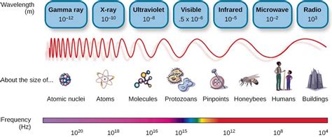 The Visible Spectrum: The visible spectrum is the portion of the larger electromagnetic spectrum ...