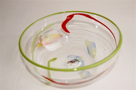 Art Glass Bowl - Etsy