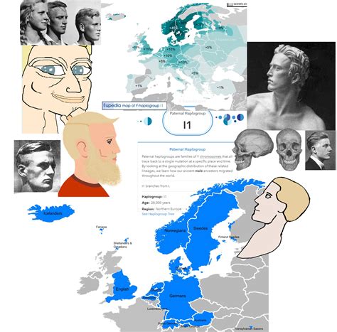 The Germanic race and the I1 Haplogroup | Nordicism | Know Your Meme