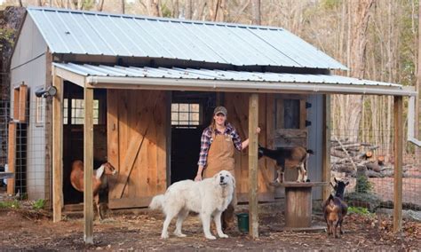 Goat Mini Barn Tour - UPDATE - The Modern Day Settler