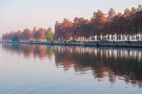 Hubei Wuhan East Lake Scenic Area Late Autumn Scenery Stock Photo ...