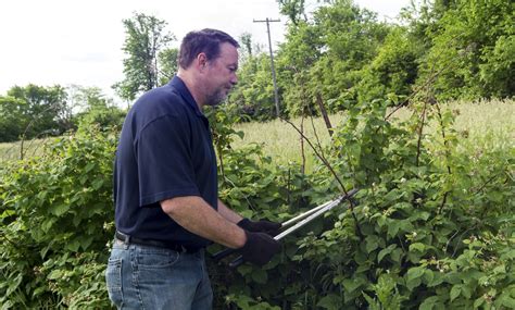 Pin on Gardening