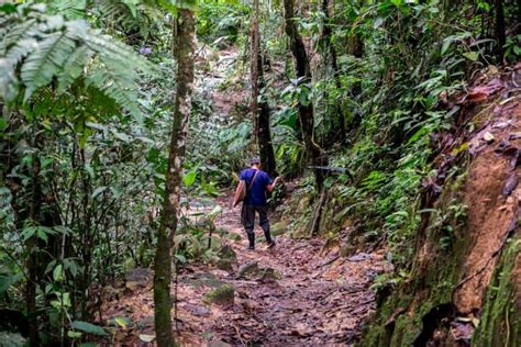 Ecuador Amazon Rainforest Guide for an Unforgettable Jungle Adventure