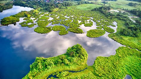 භූගෝල විද්යාව සාමාන්ය පෙළ - O/l